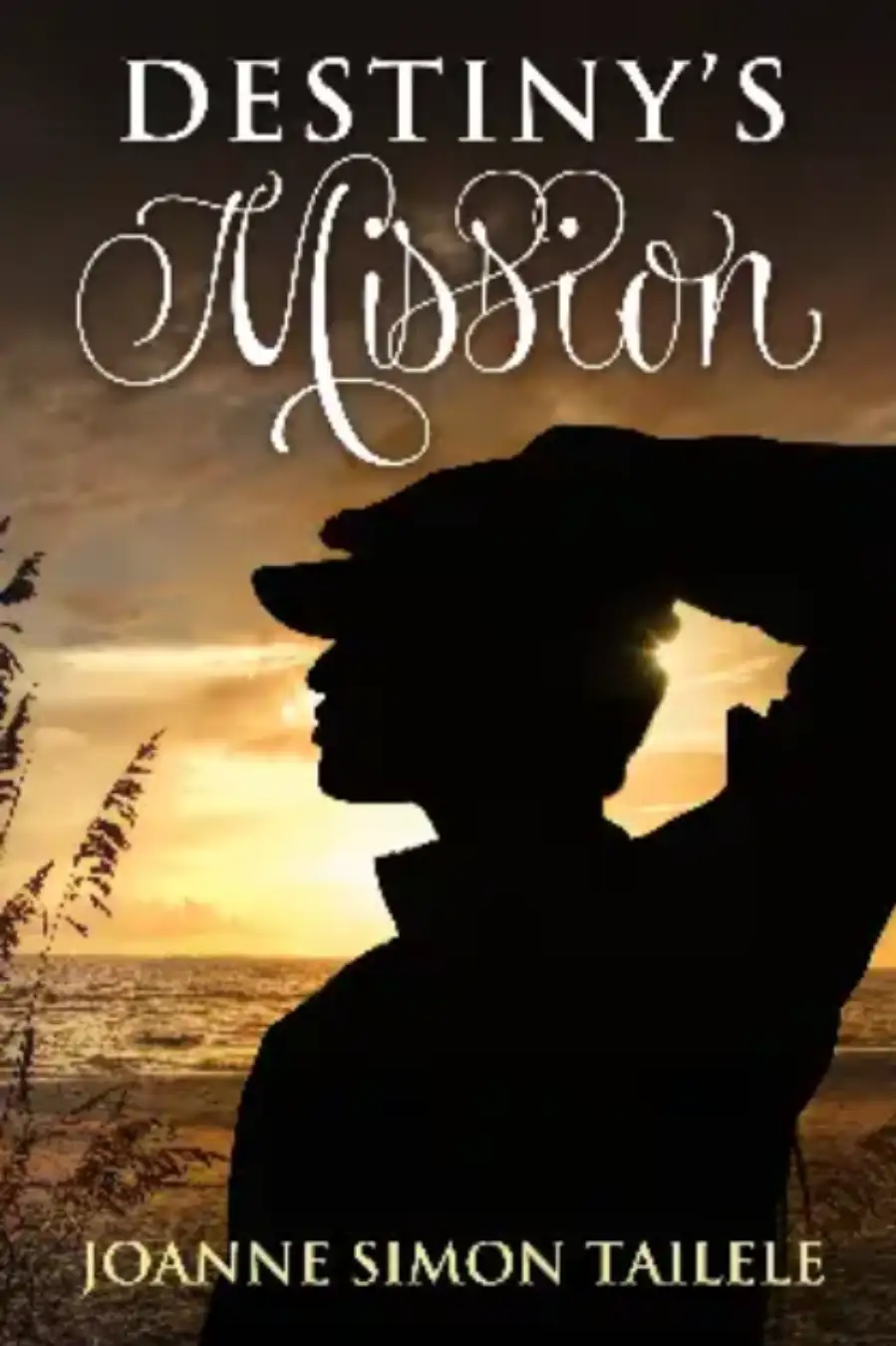 Destiny's Mission Image